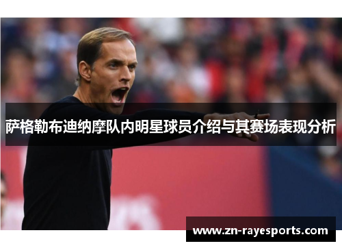 萨格勒布迪纳摩队内明星球员介绍与其赛场表现分析